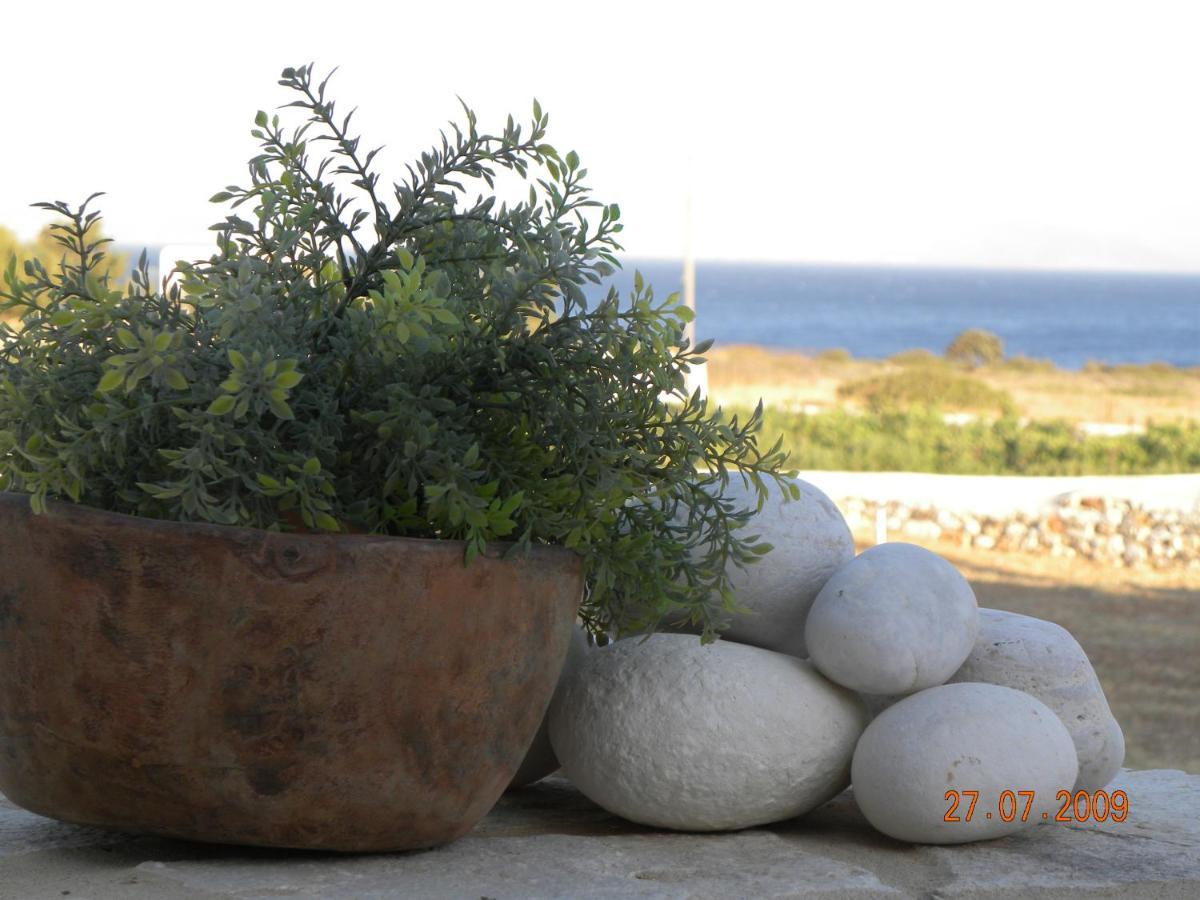 Villa Petradi Ambelas Exterior photo