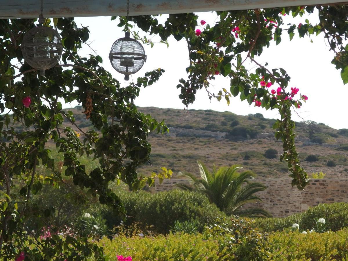 Villa Petradi Ambelas Exterior photo